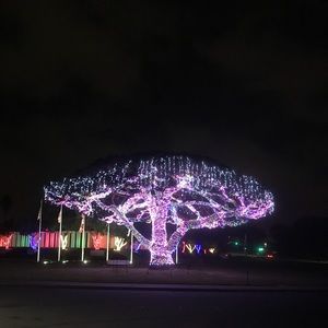 Meet your Posher, Luis